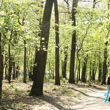 Sapphire Time Апартаменты *